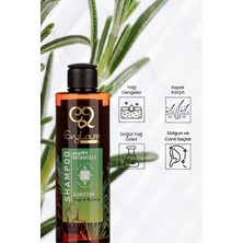 Evylaure Zencefil ve Biberiye Özlü Şampuan 225 ml