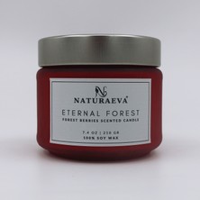 Orman Meyveleri Esanslı Kavanoz Doğal Soya Mum 210GR