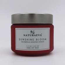 Aynısefa Esanslı Kavanoz Doğal Soya Mum 210GR