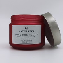 Aynısefa Esanslı Kavanoz Doğal Soya Mum 210GR