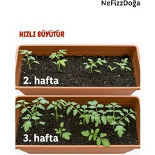 NeFizz Doğa %100 Doğal Katkısız Solucan Gübresi 10 Kg (20 Lt)