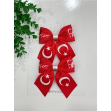 2 Adet Türk Bayrak Kırmızı Atatürk Imza/silüetli 29 Ekim, 23 Nisan Fiyonk Klips Toka Seti