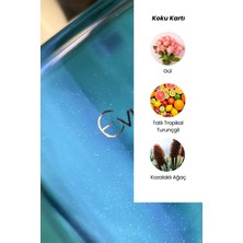 Evylaure Aoiike Reflet Simli Saç Parfümü 30 ml