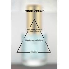Evylaure Aoiike Reflet Simli Saç Parfümü 30 ml