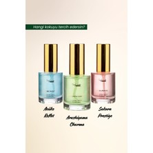 Evylaure Aoiike Reflet Simli Saç Parfümü 30 ml