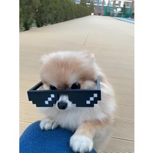 Axelon Minecraft Dekoratif Minecraft Gözlüğü