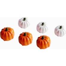 Bal Kabağı 6 Adet Teraryum Obje Minyatür Obje Teraryum Malzemeleri Figür Aksesuar Saksı Süsü