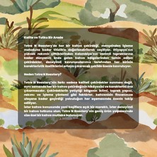 Etiyopya Oromia - Çekirdek Kahve / Filtre Kahve / Espresso - 250 gr