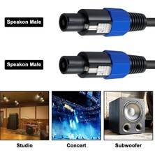 Aetherial Speakon Kablo 6ft Profesyonel 18GAGE Erkek - Ses Kablosu, Dj Hoparlör ve Amplifikatör Için Büküm Kilidi ile (Yurt Dışından)