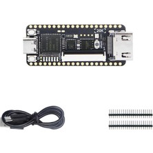 Aetherial Tang Nano 20K Fpga Geliştirme Kartı Düşük Gecikmeli 64MBIT Yüksek Hızlı Rıscv Linux Retro Oyun Oynatıcısı Için (Yurt Dışından)