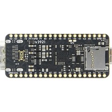 Aetherial Tang Nano 20K Fpga Geliştirme Kartı Düşük Gecikmeli 64MBIT Yüksek Hızlı Rıscv Linux Retro Oyun Oynatıcısı Için (Yurt Dışından)