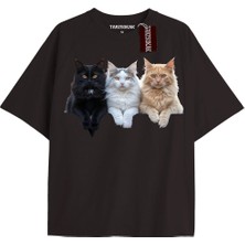 Tarzsokak El Gato Tatlı ve Piskopat Kediler