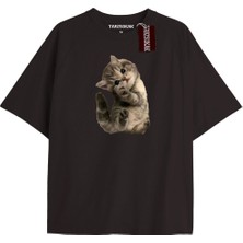 Tarzsokak El Gato Tatlı ve Piskopat Kediler