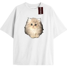 Tarzsokak El Gato Tatlı ve Piskopat Kediler