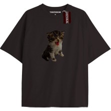 Tarzsokak El Gato Tatlı ve Piskopat Kediler