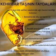 Edanova Doğal Kehribar Taş Bebek- Çocuk Kolye