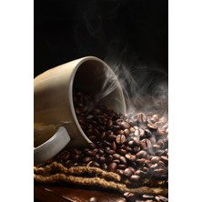 Palmiye Gurme Taze Çekilmiş Kahve 250 gr -  Arabica Çekirdek - Filtre & Espresso Uyumlu