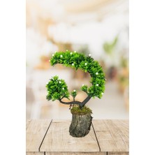 Yapay Çiçek Bonsai Ağacı Kütük Saksıda Beyaz Tomurcuklu Hilal Model Dekoratif Yapay Ağaç Bonzai 30*20 cm