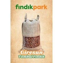 Fındıkpark Giresun Kabuklu Tombul Fındık - 3000 gr.