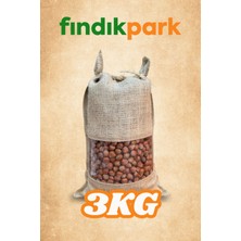 Fındıkpark Giresun Kabuklu Tombul Fındık - 3000 gr.