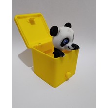 Sürpriz Panda Oyuncak Kutusu