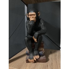 Maymun Düşünen ,kitaplı