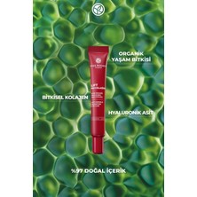 Yves Rocher Göz Kremi-Sıkılaştırıcı,dolgunlaştırıcı Bitkisel Kolajen ve Hyaluronik Bakım/ Lift Pro COLLAGENE-52003