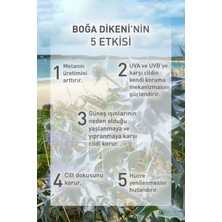 Yves Rocher Güneş Sonrası Yaşlanma Karşıtı Yüz Kremi/solaire Peau Parfaite-30ml