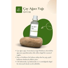 Sabunal Çay Ağacı Yağı 50 ml - Cilt Bakım Yağı