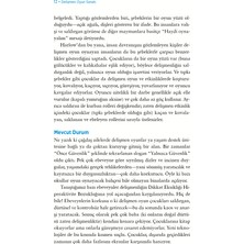 Delişmen Oyun Sanatı - Lawrence J. Cohen