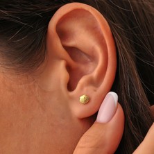 Nusret Takı 925 Ayar Gümüş Istiridye Model Küpe, Sarı