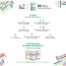 Polisan X1 All Dönüşüm Boyası 0,75 Lt Asil Yeşim / 4525