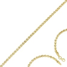 T51 Tuğrul Altın Altın Zincir T073200