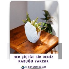 Deniz Kabuğu Modern Vazo