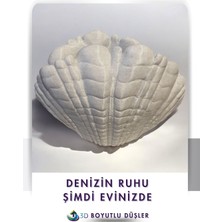 Deniz Kabuğu Modern Vazo
