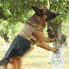 Hoofsand Paws K9 Köpek Tasması, Göğüs ve Sırt Tasması Seti Taktik Köpek Yeleği Taktik Köpek Yeleği Sarı Renk