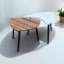Modern Orta Sehpa Ahşap