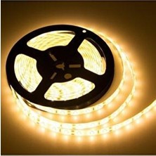 Tek Çipli Iç Mekan Silikonsuz Şerit LED 5 Metre 12 Volt 