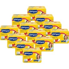 Canped Mesane Pedi Büyük Boy Large 10'lu x 12 Adet