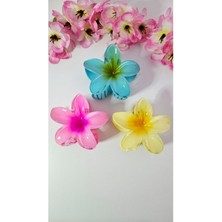 3 Adet Çift Renk Lotus Mandal Toka