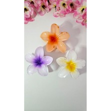 3 Adet Çift Renk Lotus Mandal Toka
