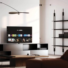 We. See OLED 4K Smart TV 65" ZENTRASEE65