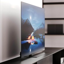 We. See OLED 4K Smart TV 65" ZENTRASEE65