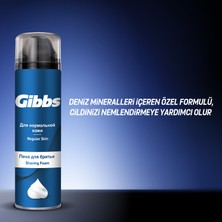Gibbs Regular Erkek Tıraş Köpüğü 4x200ml