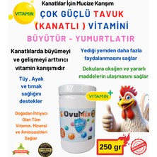 Ovumix Tavuk Büyütme ve Yumurtlatma Vitamini 250 gr (Yeni Nesil Multivitamin Zengin Karışım)