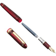 Platinum PNB15000#3776 Century Gold Trim 71 Bourgogne Dolma Kalem