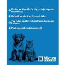 Hairball Control – Kedi ve Köpek Tüy Yumağı Oluşumu Önleyici ve Kabızlığı Önleyici Tablet
