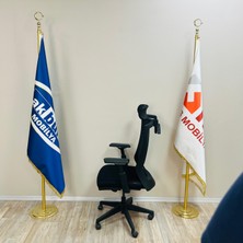 Hanger Casella Fileli Oynar Kollu Ofis Ev Yönetici Koltuğu Fırat Ofis