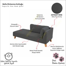 Bella Rahat Dinlenme Koltuğu Josefin Koltuk Psikolog Koltuğu Kitap Okuma Koltuğu Puf Koltuk Kanepe