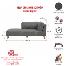 Bella Rahat Dinlenme Koltuğu Josefin Koltuk Psikolog Koltuğu Kitap Okuma Koltuğu Puf Koltuk Kanepe